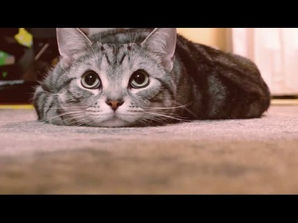 Социальная реклама от Nissan в Магадане &laquo; автомагадан