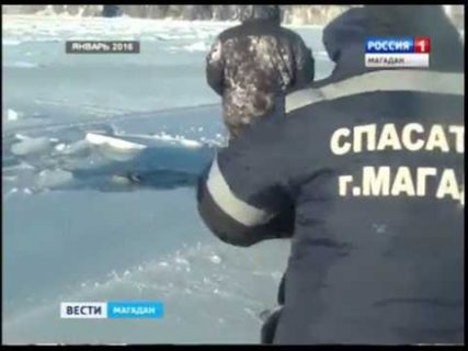 К 1,5 годам исправительных работ городской суд приговорил водителя авто, провалившегося под лед в Магадане &laquo; автомагадан